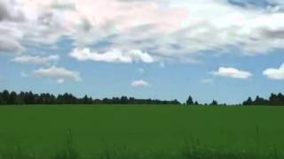 Green Field Timelapse [upl. by Brendis]