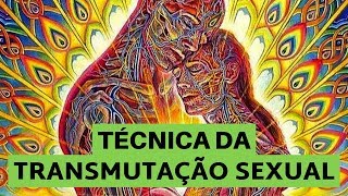 Técnica da Transmutação Sexual [upl. by Enid]