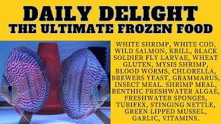 The Ultimate Discus Fish Food Daily Delight [upl. by Jelks]