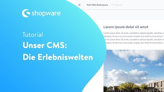 Formulare individuell gestalten Shopware 6 Tutorial [upl. by Josie]