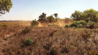 Clearing cerrado in Brazil [upl. by Ashatan356]