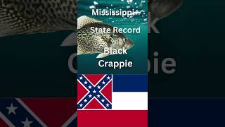 How big is the Mississippi state Record Black Crappie [upl. by Nettie794]