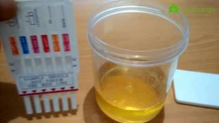 Chemtrue  Alat Rapid Test Narkoba [upl. by Annah124]