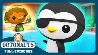 Octonauts  🦦 The Junior Recruits 🦺  Bumper Pack Special  Explore the Ocean [upl. by Anert]