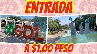 Zoológico Guadalajara a 100 peso la entrada 😮 por Aniversario [upl. by Metabel]