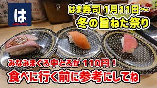 【はま寿司】 高級みなみまぐろが１１０円！「はま寿司の中とろ100円と冬の旨ねた祭り」開催！ 20240111 [upl. by Hallimaj]