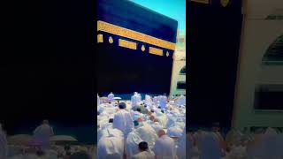 Makkah Live  Kaaba Sharif makkah saudiarabia masjidalharam [upl. by Reeva]