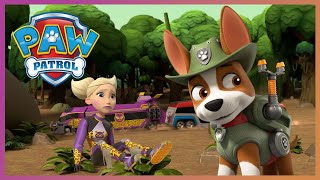 Tracker and Pups stop Cheetah from destroying the Jungle  PAW Patrol Cartoons for Kids Compilation [upl. by Silin]