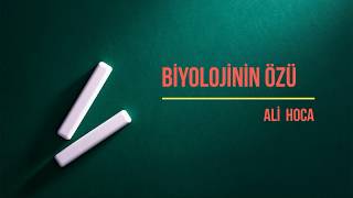 BİYOLOJİ 1 DÖNEM 1 YAZILI SORULARI 10SINIF 6 [upl. by Ammeg]