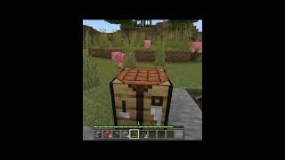 MINECRAFT mas eu não posso tocar na cor ROSA like original [upl. by Rolanda630]