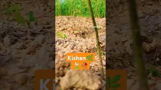 2024whatsapp💫saportkarodosto 🙏🫰 insta reel trending viral kheti🌿 badi💚 youtopsort video [upl. by Joella]