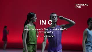 Nagelhus Schia Productions  Iin C Sasha Waltz  Terry Riley [upl. by Aniehs]