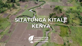 Sitatunga Kitale  Kenya [upl. by Hiltner633]