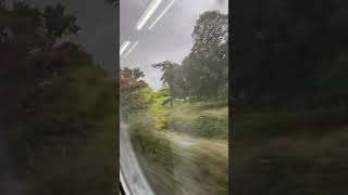 150232 amp 150219 passing Powderham castle on 2F19 to Exmouth ￼ [upl. by Htezil]