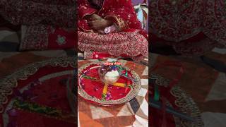 Tera Mera hai pyar Amar shortfeed song wedding [upl. by Ihculo]