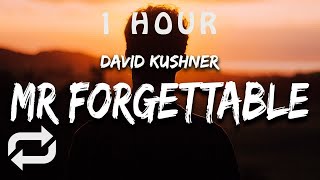 1 HOUR 🕐  David Kushner  Mr Forgettable Lyrics hello hello are you lonely [upl. by Neirrad]