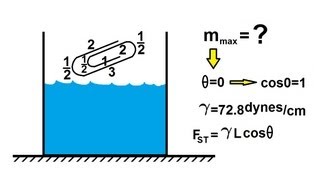 Physics 331 Surface Tension 4 of 12 The quotFloatingquot PaperClip [upl. by Erised]