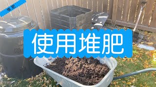 使用堆肥，为明年种菜做准备 [upl. by Nadbus637]