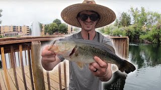 Mile High Fishing in Denver Colorado  Ep 2 [upl. by Neiviv]