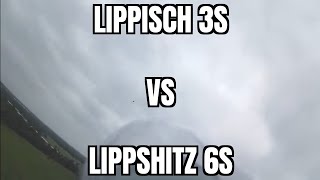 Freewing Lippisch p15 6s upgrade vs 3s Lippshitz [upl. by Ailedroc]