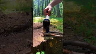 Survival skills Cooking over a fire 🔥 shorts survival [upl. by Loss]