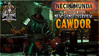 Cawdor Gang DLC Review and Overview  Necromunda Underhive Wars [upl. by Talya499]