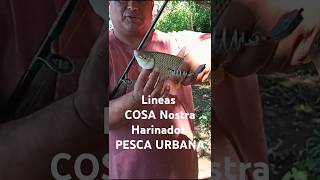 Un par de piques que tuvo Pablo del DIA 1 en el Pesquero quotEl Chuzaquot pesca fishing [upl. by Stoat]