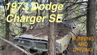 ABANDONED Dodge Charger RUNNING and DRIVING after 41 YEARS [upl. by Freeman]