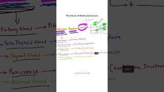 Multiple Endocrine Neoplasia pathology tcml [upl. by Ruhtracam706]