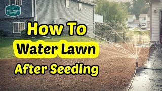 How To Water Your Lawn After Seeding [upl. by Uahsoj123]