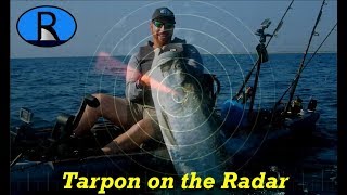 Tarpon on the Radar [upl. by Ahsiatal]