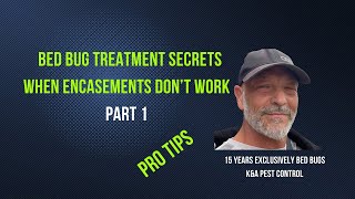 Bed Bug Treatment Secrets Part 1 [upl. by Jason]