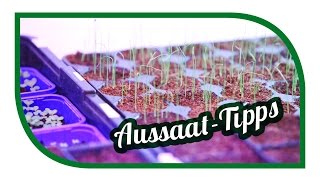 Aussaat amp Gartentipps im Januar 🌱 Jungpflanzenanzucht im Januar 🌱 Selbstversorgung [upl. by Assened547]