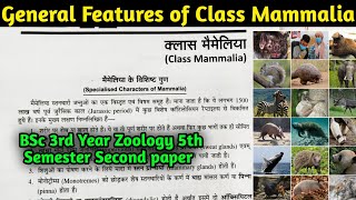 General Characteristics of Class Mammalia  BSc 3rd year Zoology 5th Semester 2nd Paper [upl. by Bethezel582]