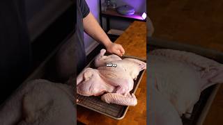 Thanksgiving Turkey that isn’t awful  how to cook a turkey [upl. by Risan]