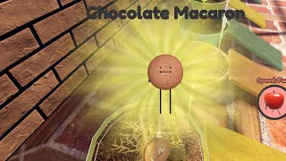 How to get chocolate macaron from secret staycation in Roblox [upl. by Eradis]