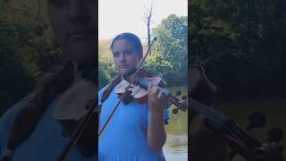 Canon in D  Johann Pachelbel  violin cover [upl. by Wehrle254]