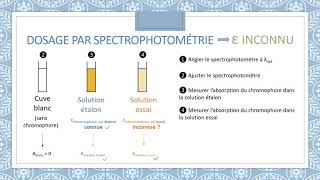 Dosage spectrophotométrique [upl. by Waters]