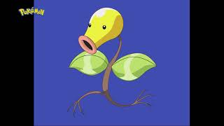 CUAL es el SONIDO de BELLSPROUT PokémonSOUND EFFECTS Pokedex [upl. by Hctim16]