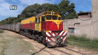 Hermoso tren de Belgrano Cargas entrando a Alta Córdoba [upl. by Earlie]