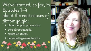 The Root Causes of Fibromyalgia What weve learned in Ep 14 [upl. by Frodeen]