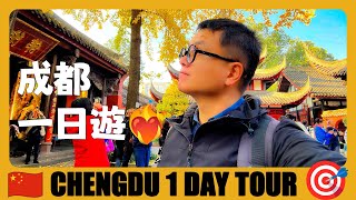 四川成都 🇨🇳 Top 10 Things to do in Chengdu 中国最休闲城市，来旅游最值得做的10件事情  Chengdu  China Travel Guide [upl. by Garry]