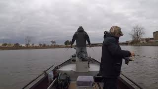 Saginaw River   Walleye Jigging [upl. by Einaeg857]