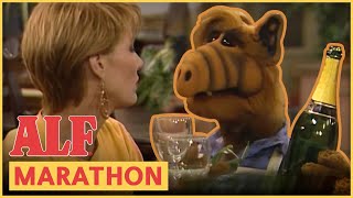 ALF Becomes A Matchmaker  ALF  FULL Episode Marathon [upl. by Wanonah]