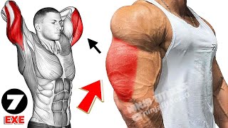 Best 7 Build bigger triceps workout fast 💪🔥 [upl. by Olegna]