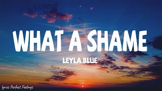 Leyla Blue  What A Shame Lyrics  What a shame baby what a shame [upl. by Suiramaj]