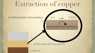 A level S1 Intro to Biotech and Bioleaching Ms Cooper [upl. by Eslehc]