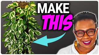 How to Make a POTHOS Moss Wall [upl. by Aihsemak]