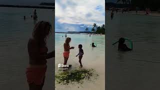 A beautiful day at Sainte Anns beach in Guadeloupe shorts guadeloupe viral beachlife beautiful [upl. by Siuraj115]