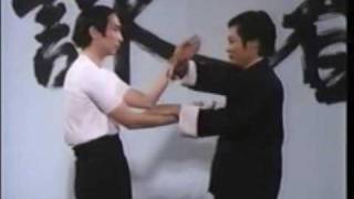 Wing Chun Basic Techniques part 4 Shaolin Kung Fu and Ip Man Chinese Fighting Art [upl. by Trueblood378]